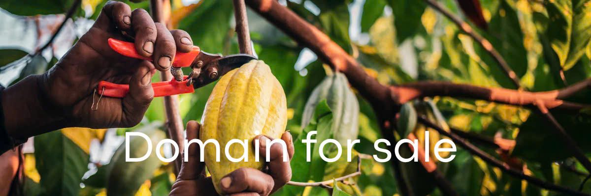 VietnamCacao.com